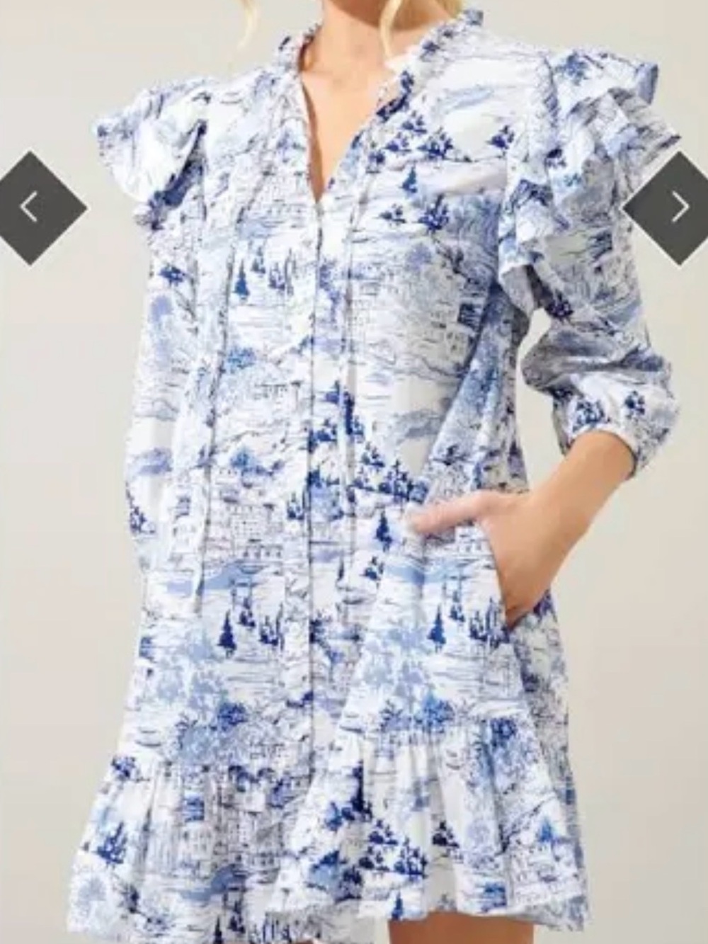 Sugarlips Blue and White Printed Ruffle Sleeve Dress